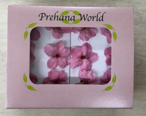 サクラ（フレッシュピンク）