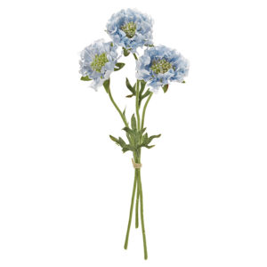 フリンジスカビオサ ＃５　　ＢＬＵＥ