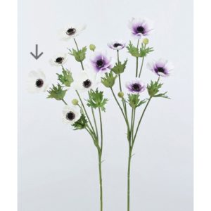 Ａ－３３２５３　アネモネ×５　つ #001 ﾎﾜｲﾄ