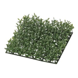 Ａ－４２９０８　ボックスウッドマ #051D ﾀﾞ-ｸｸﾞﾘ-ﾝ