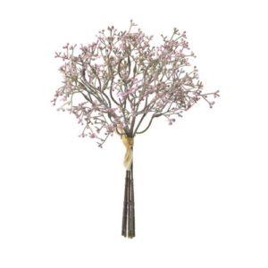 Ａ－４７８７１　シードスプレーバ #007 ﾊﾟ-ﾌﾟﾙ