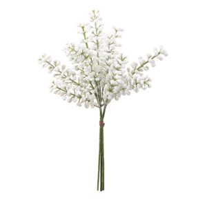 Ａ－４７９１６　ベリーバンチ（１ #001 ﾎﾜｲﾄ