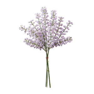 Ａ－４７９１６　ベリーバンチ（１ #006 ﾗﾍﾞﾝﾀﾞ-