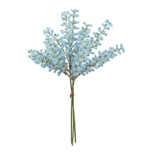 Ａ－４７９１６　ベリーバンチ（１ #009 ﾌﾞﾙ-