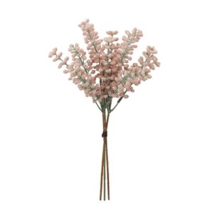 Ａ－４７９５１　ベリーバンチ（１ #004A ｱﾌﾟﾘｺｯﾄ