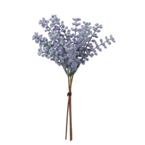 Ａ－４７９５１　ベリーバンチ（１ #007S ｽﾓ-ｸﾊﾟ-ﾌﾟﾙ