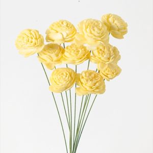 ソーラーローズ・ミニ　イエロー