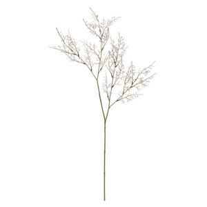 FM008832　011 ジャルダンスターチス ＃１１　ＬＡＶ