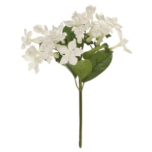 FM007921 001 セイントブバリア ＃１　　ＷＨＩＴＥ