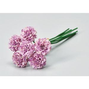 Ａ－３４１２４　ミニポンポンマム #006 ﾗﾍﾞﾝﾀﾞ-