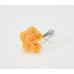 Ａ－３４２４０　ポンポンマムバン #030B ﾗｲﾄｵﾚﾝｼﾞ 6ﾎﾝ