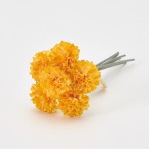 Ａ－３４２４０　ポンポンマムバン #040Y ｺﾞ-ﾙﾄﾞｲｴﾛ- 6ﾎﾝ