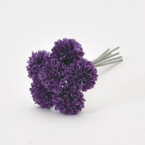 Ａ－３４２４０　ポンポンマムバン #007 ﾊﾟ-ﾌﾟﾙ 6ﾎﾝ