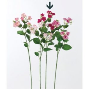 Ａ－３９５８４　ジャスミンＸ９ #026 ﾌｯｼｬ