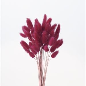 ラグラス　ワインレッド