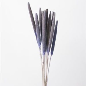 ババラ・小　ブルーグレー