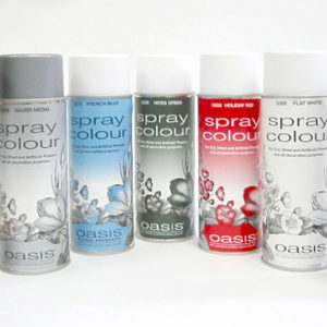 SJ000053 001 ★ＡＸ★オアシスカラースプレー ＃１　フラットホワイト