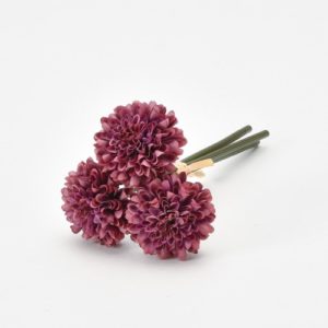 Ａ－３４２３４　ポンポンマム（１ #007E ｱﾝﾃｨ-ｸﾊﾟ-ﾌﾟﾙ