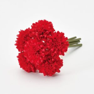 Ａ－３４２４１　ポンポンマムバン #002 ﾚｯﾄﾞ