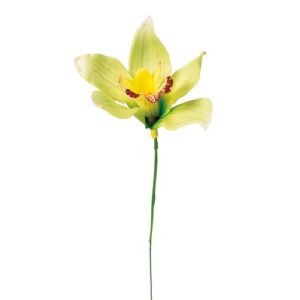 Ａ－３４４２３　シンビジューム #052B ﾗｲﾄｸﾞﾘｰﾝ