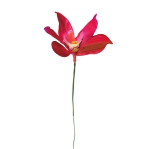 Ａ－３４４２３　シンビジューム #022 ﾋﾞｭｰﾃｨ