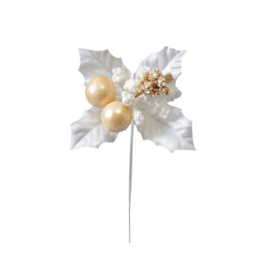 XP000600 シャンパーニュホリーピック