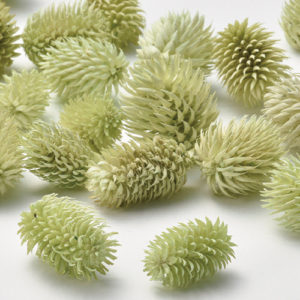 ＸＪ－０１ＧＲ　ノグルミ