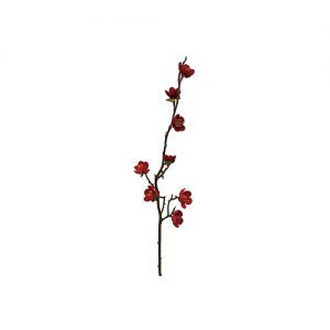 Ｅ７０１６　梅ピック RED