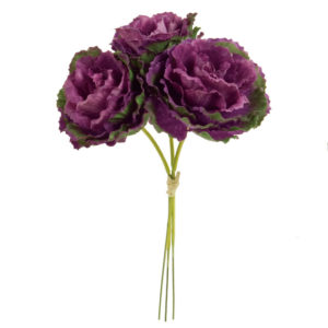 葉牡丹ピック ＃１７　ＧＲ／ＰＰ