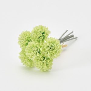 Ａ－３４２４０　ポンポンマムバン #052B ﾗｲﾄｸﾞﾘ-ﾝ 6ﾎﾝ