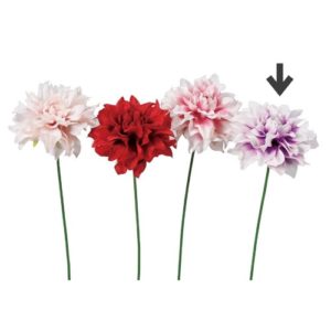 Ａ－７３３９１　ダリアピック #017P ﾎﾜｲﾄﾊﾟ-ﾌﾟﾙ