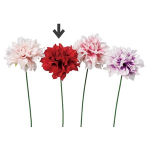 Ａ－７３３９１　ダリアピック #002 ﾚｯﾄﾞ