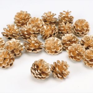 松カサ・小　ゴールド