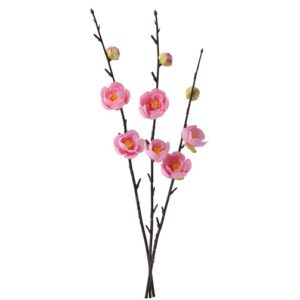 梅ﾊﾞﾝﾄﾞﾙ ﾋﾟﾝｸ