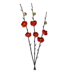 梅ﾊﾞﾝﾄﾞﾙ ﾚｯﾄﾞ