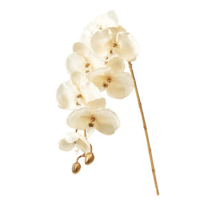 ファレノルーナ ＃１８　ＣＲ／ＧＯ