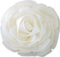 ソラ　ローズ　LL