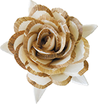 ソラ　ロータスローズ　L　B(茶）