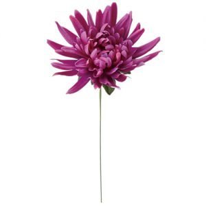 特価　 ＡＭ５００４８　マムピック #045 ｵｰｷｯﾄﾞ (3ﾎﾝ)