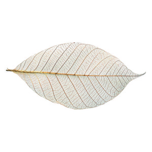 ﾗﾊﾞｰｽｹﾙﾄﾝ ｶﾗｰ M 50枚 24 ﾌﾞﾗｳﾝ