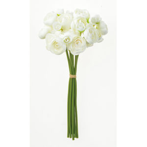 Ａ－３４１１４　ラナンキュラス× #001 ﾎﾜｲﾄ