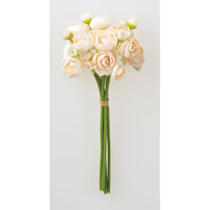 Ａ－３４１１４　ラナンキュラス× #004S ｿﾌﾄﾋﾟ-ﾁ