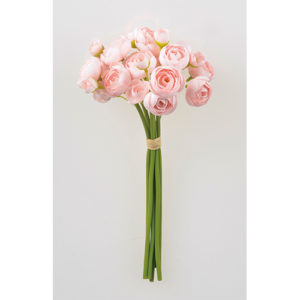 Ａ－３４１１４　ラナンキュラス× #003 ﾋﾟﾝｸ