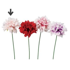 Ａ－７３３９１　ダリアピック #001P ﾎﾜｲﾄﾋﾟﾝｸ