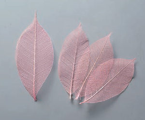 ミニスケルトンリーフ　小　ピンク