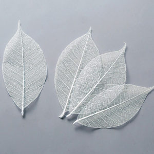 ミニスケルトンリーフ　小　白