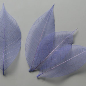 ミニスケルトンリーフ　小　グレープ