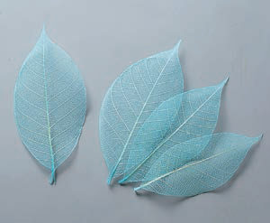 ミニスケルトンリーフ　小　ブルー