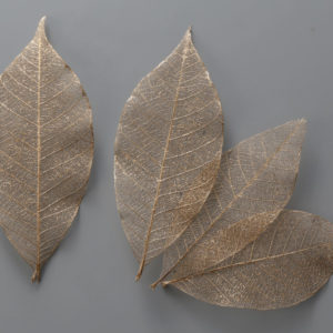 ミニスケルトンリーフ　小　ゴールド