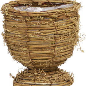 ヒゲヅルバイン台付丸Ｌ